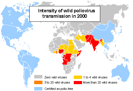 polio2000